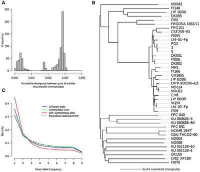 Genomic Diversity and Evolution of the Fish Pathogen Flavobacterium psychrophilum